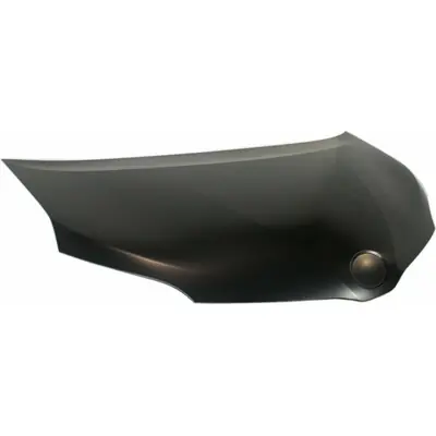 Offre Limitée Hood Panel Assembly - TO1230220